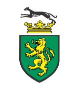 Complex security logo